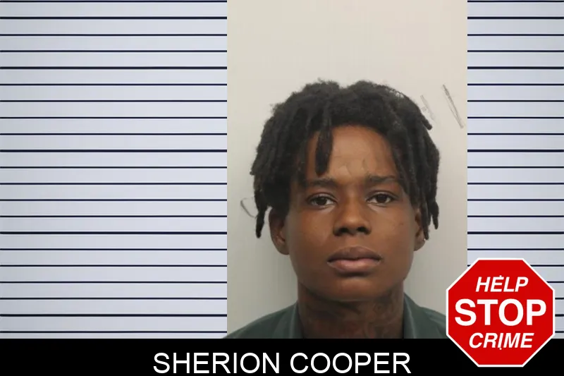 Sherion Cooper mugshot – Chatham County , Georgia Sherion Cooper mugshot