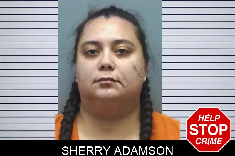 Sherry Adamson mugshot – Cherokee County , Georgia Sherry Adamson mugshot