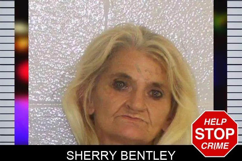 Sherry Bentley mugshot