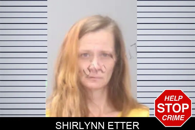 Shirlynn Etter Mugshots