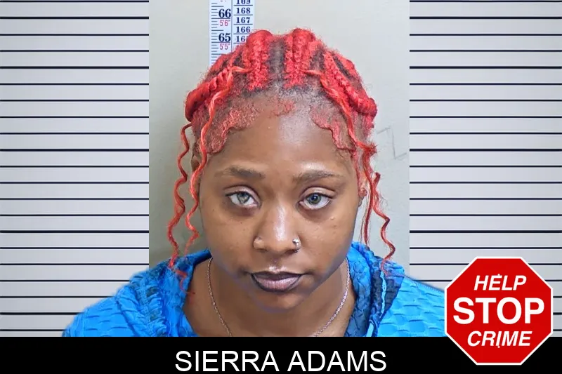 Sierra Adams mugshot