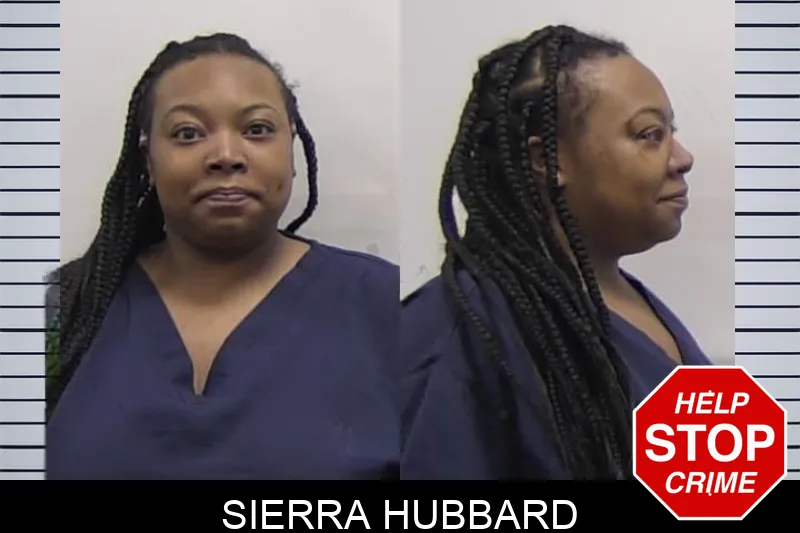 Sierra Hubbard Mugshots