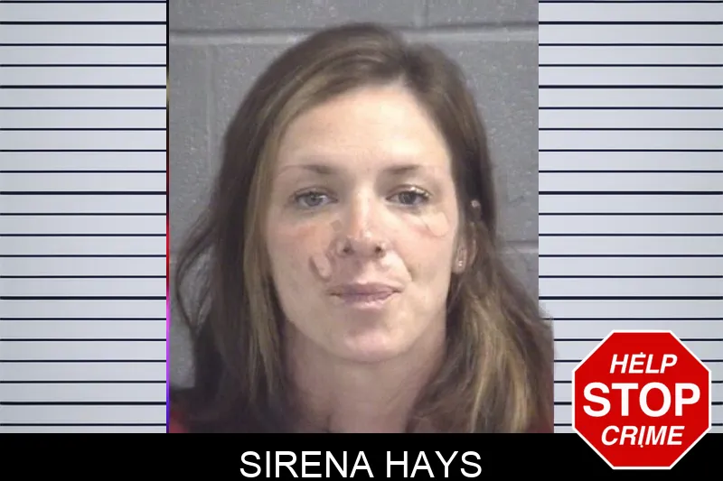 Sirena Hays mugshot
