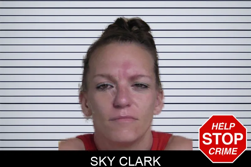 Sky Clark mugshot