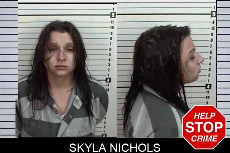 Skyla Nichols mugshot – Camden County , Georgia Skyla Nichols