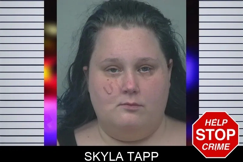 Skyla Tapp mugshot – Gwinnett County , Georgia Skyla Tapp mugshot