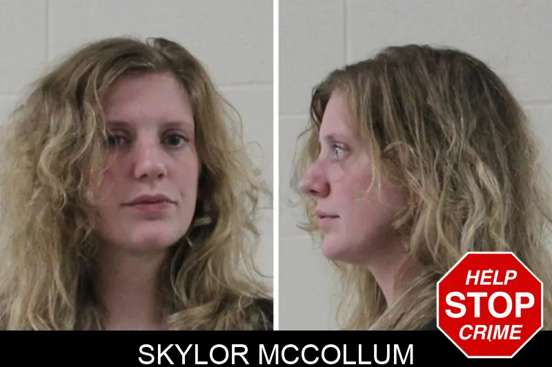 Skylor McCollum mugshot