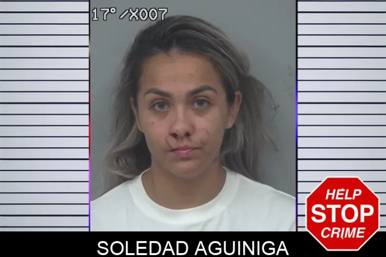 Soledad Aguiniga