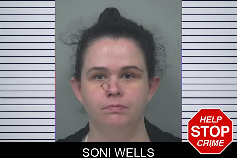 Soni Wells Mugshots