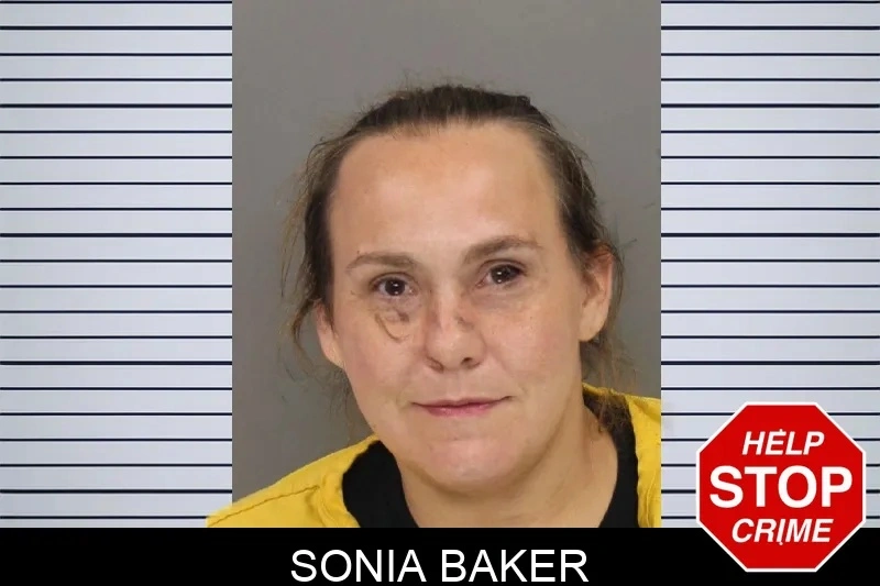 Sonia Baker mugshot – Cobb County , Georgia Sonia Baker mugshot