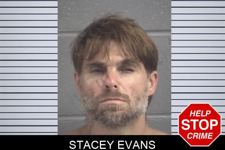 Stacey Evans mugshot – Spalding County , Georgia Stacey Evans