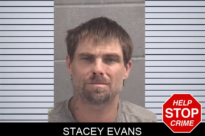 Stacey Evans mugshot