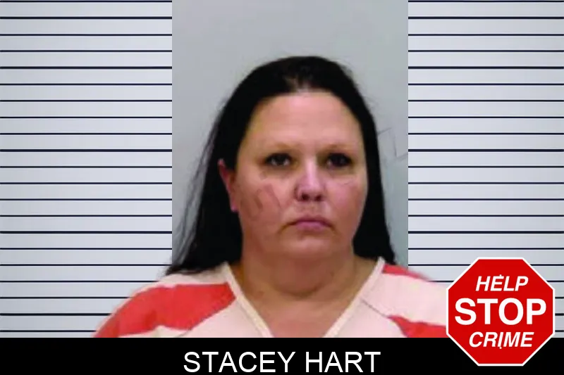 Stacey Hart mugshot – Bartow County , Georgia Stacey Hart mugshot