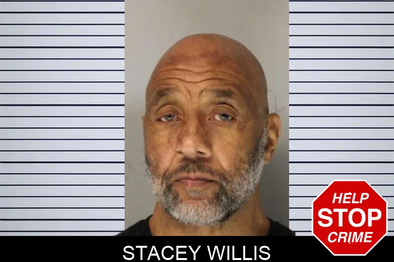 Stacey Willis mugshot – Hall County , Georgia Stacey Willis mugshot