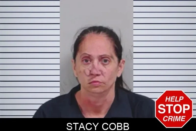 Stacy Cobb mugshot – Lowndes County , Georgia Stacy Cobb