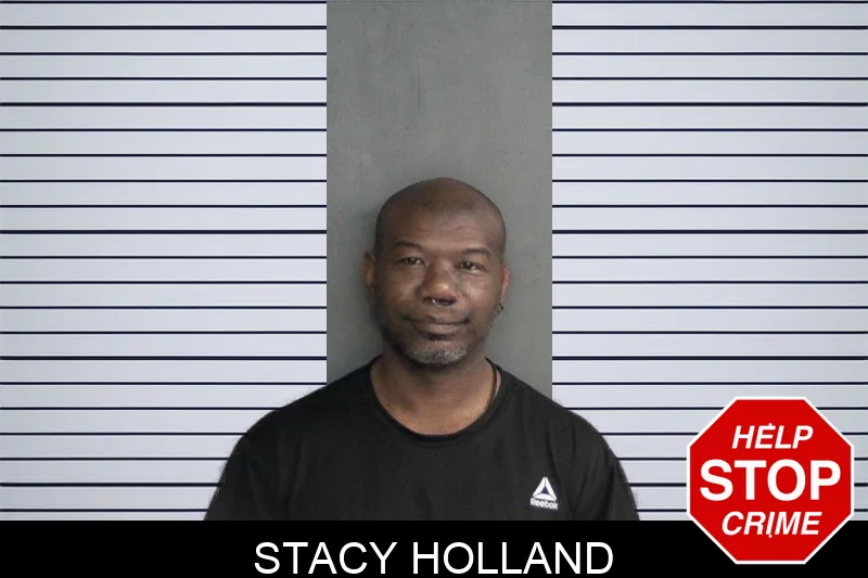 Stacy Holland