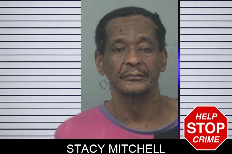 Stacy Mitchell mugshot – Gwinnett County , Georgia Stacy Mitchell mugshot