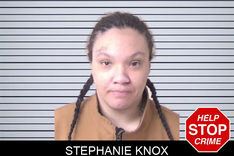 Stephanie Knox mugshot