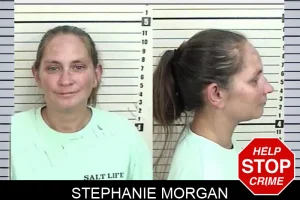 Stephanie Morgan mugshot