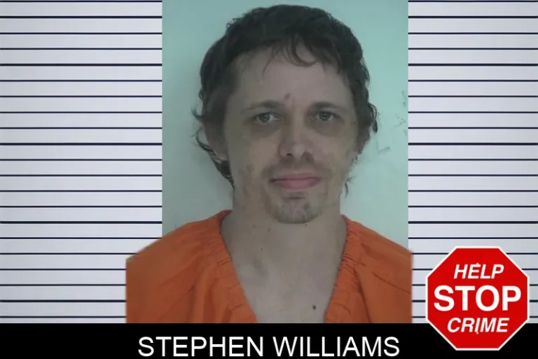 Stephen Williams