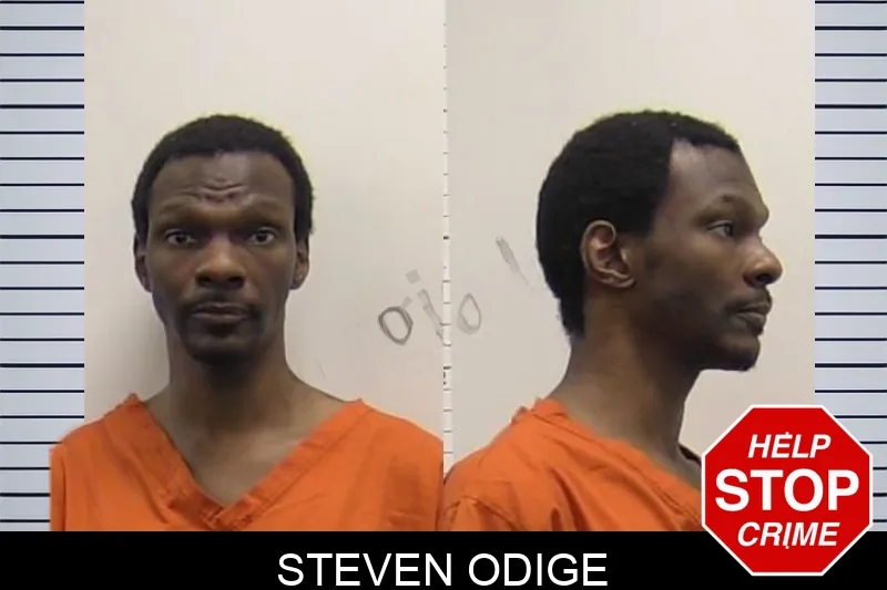 Steven Odige Mugshots