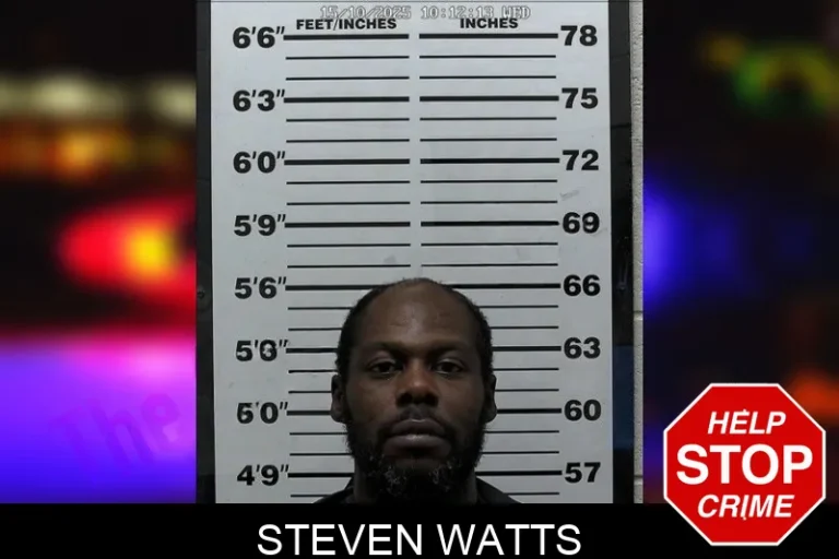 Steven Watts