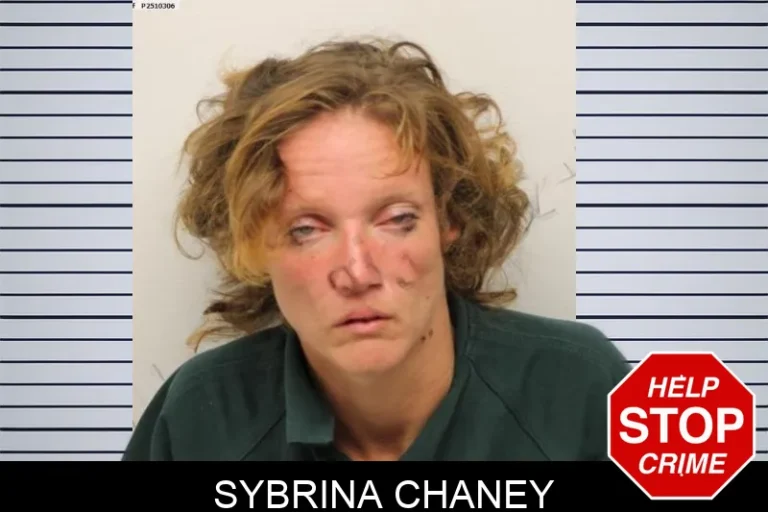 Sybrina Chaney mugshot – Chatham County , Georgia Sybrina Chaney