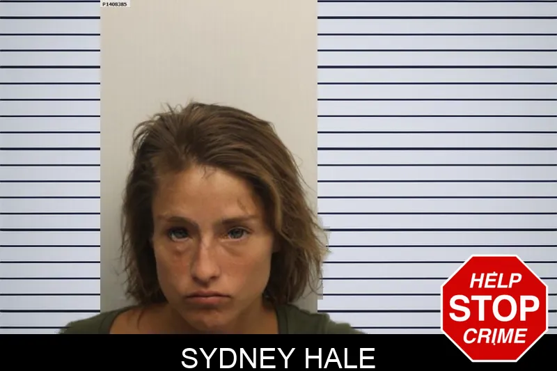 Sydney Hale mugshot