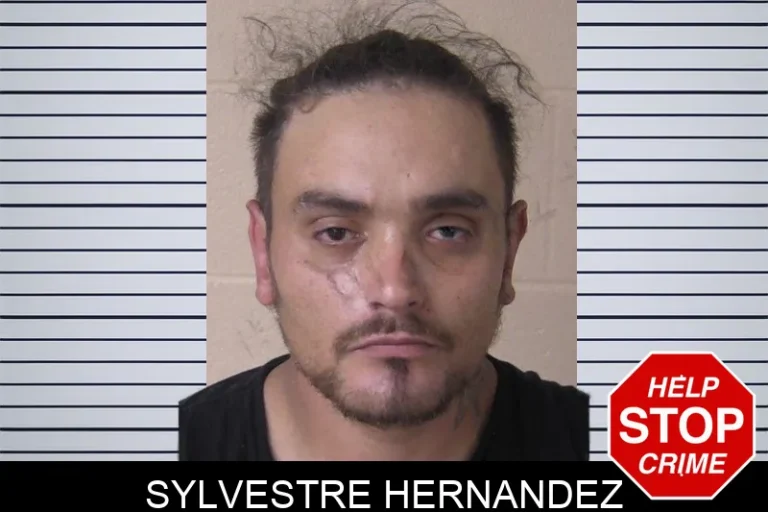 Sylvestre Hernandez