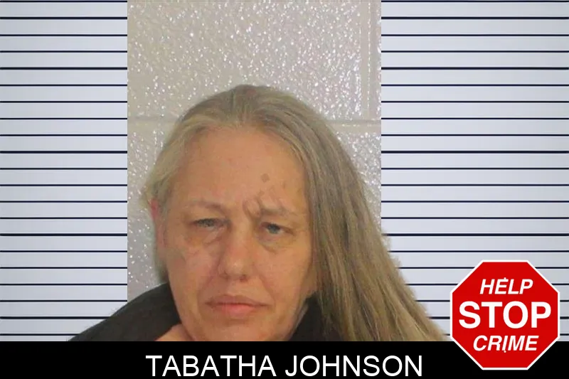 Tabatha Johnson mugshot – Carroll County , Georgia Tabatha Johnson mugshot