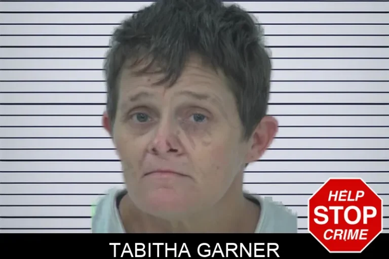 Tabitha Garner mugshot – Fayette County , Georgia Tabitha Garner