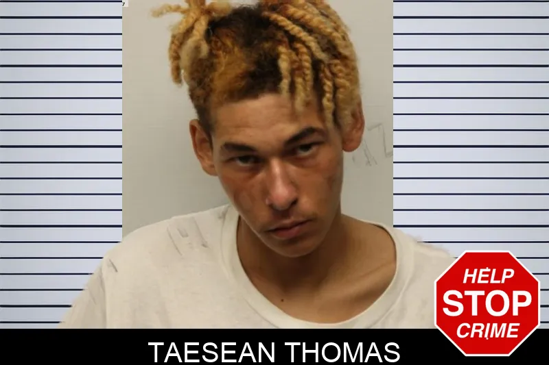 Taesean Thomas mugshot
