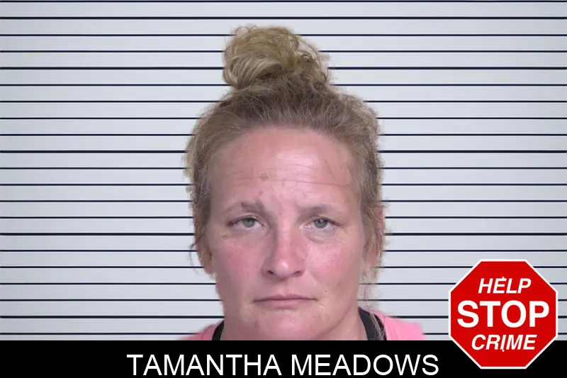 Tamantha Meadows Mugshots