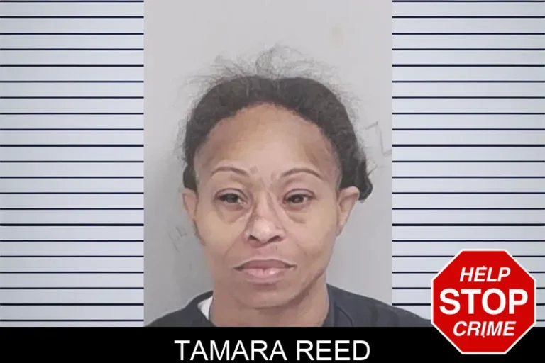 Tamara Reed
