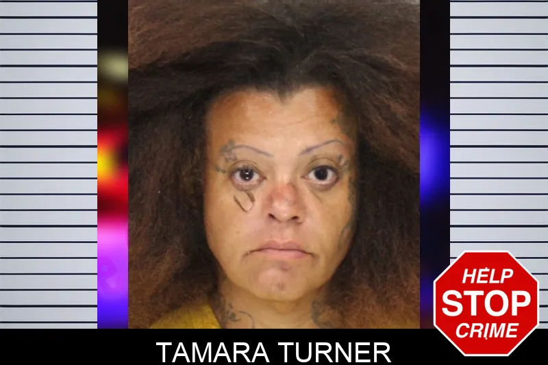 Tamara Turner mugshot