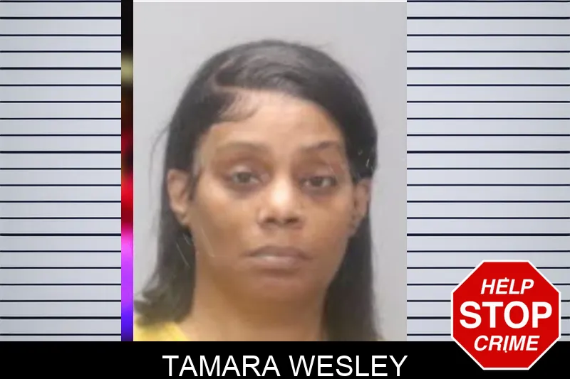 Tamara Wesley mugshot