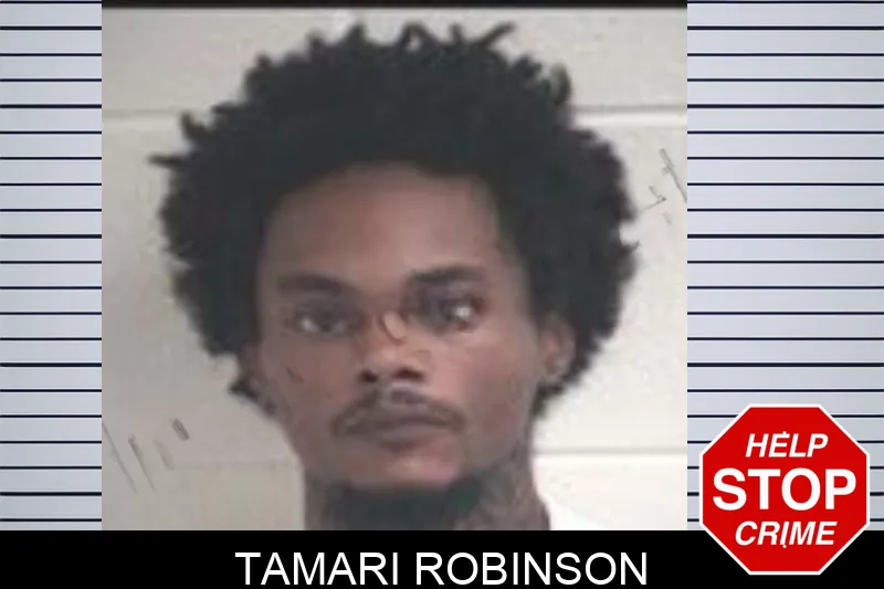 Tamari Robinson mugshot – Henry County , Georgia Tamari Robinson mugshot