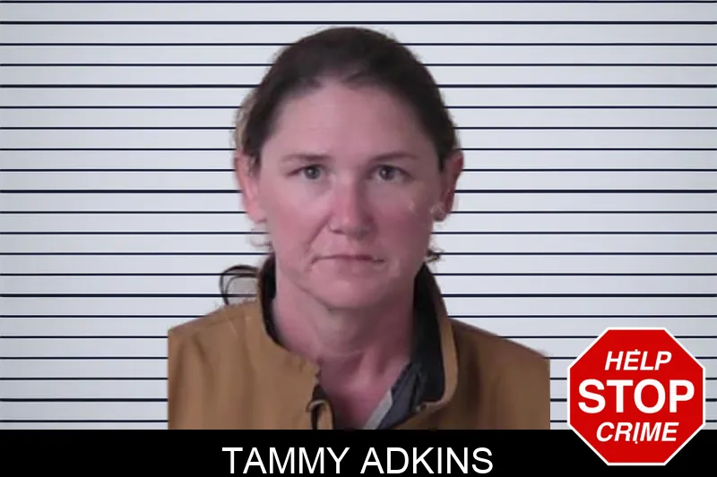 Tammy Adkins mugshot