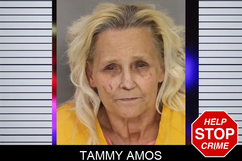 Tammy Amos Mugshots