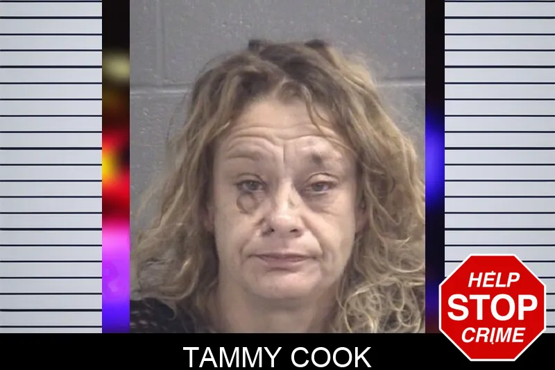 Tammy Cook mugshot – Spalding County , Georgia Tammy Cook mugshot