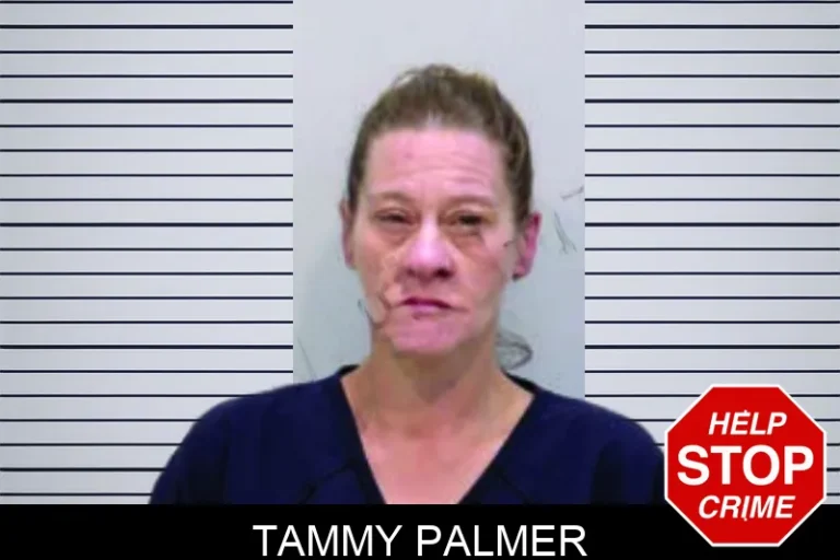 Tammy Palmer