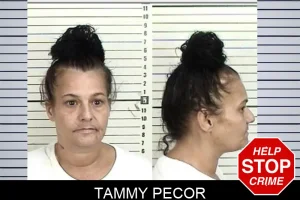 Tammy Pecor mugshot