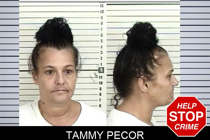 Tammy Pecor