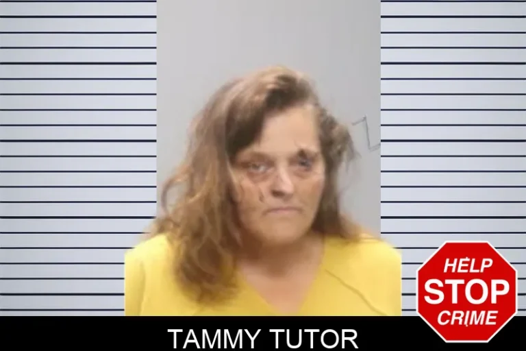 Tammy Tutor