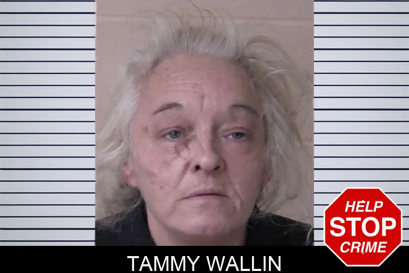 Tammy Wallin