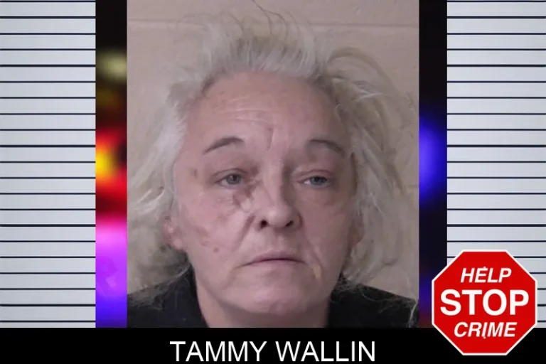 Tammy Wallin