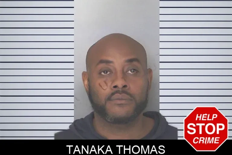 Tanaka Thomas