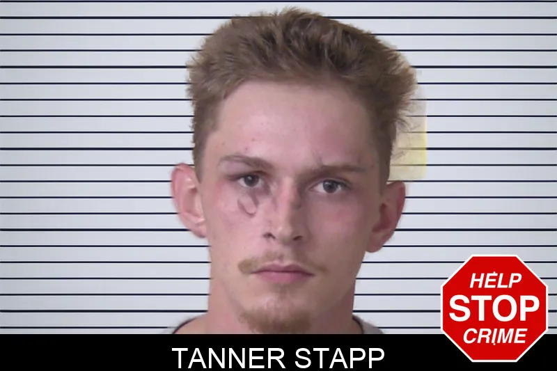 Tanner Stapp