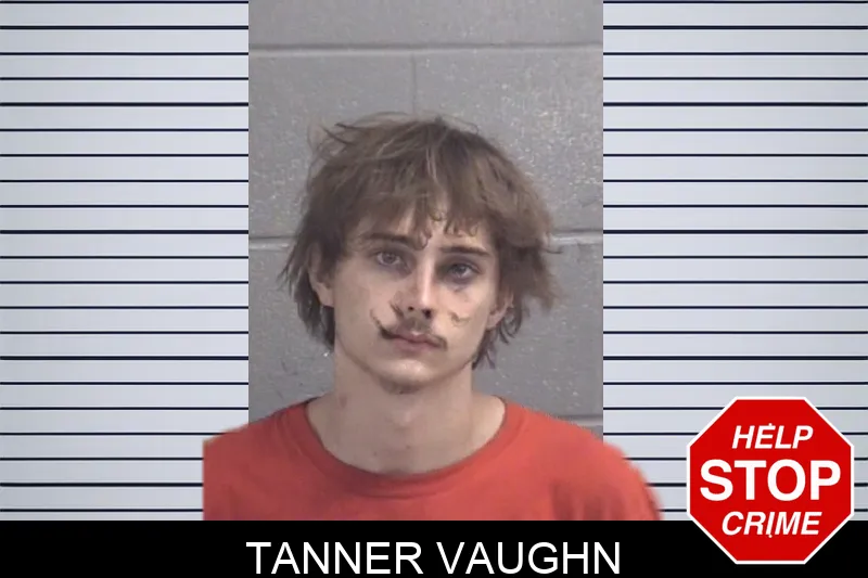 Tanner Vaughn Mugshots