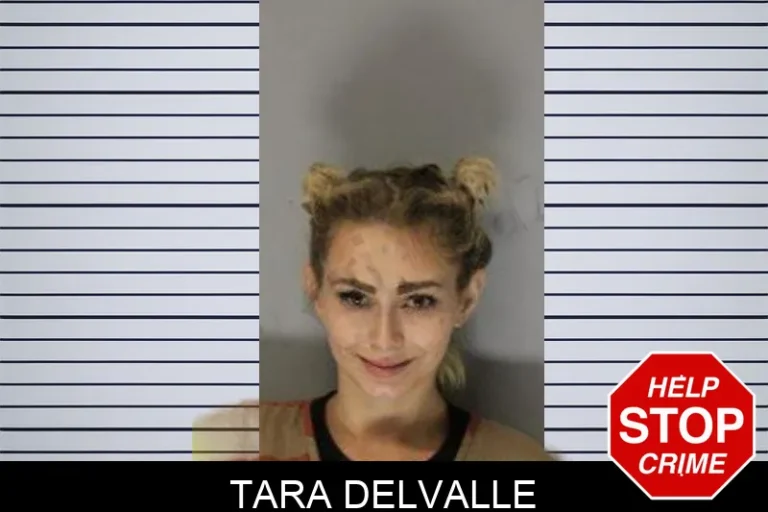 Tara Delvalle mugshot – Hall County , Georgia Tara Delvalle